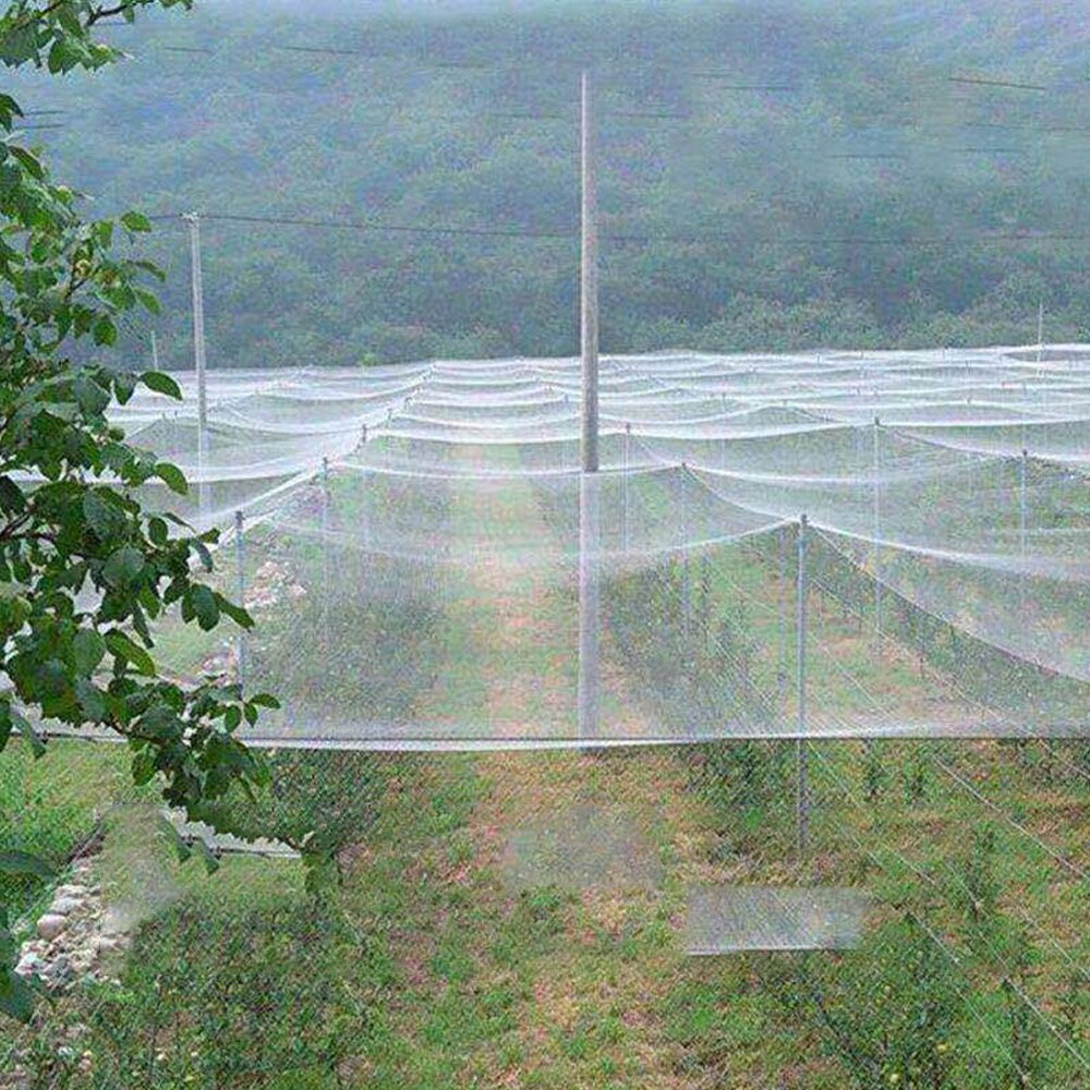 Red de Protección antiaves Extra fuerte, malla para plantas de jardín, protege las plantas, árboles frutales de aves, ciervos, aves de corral, el mejor cercado