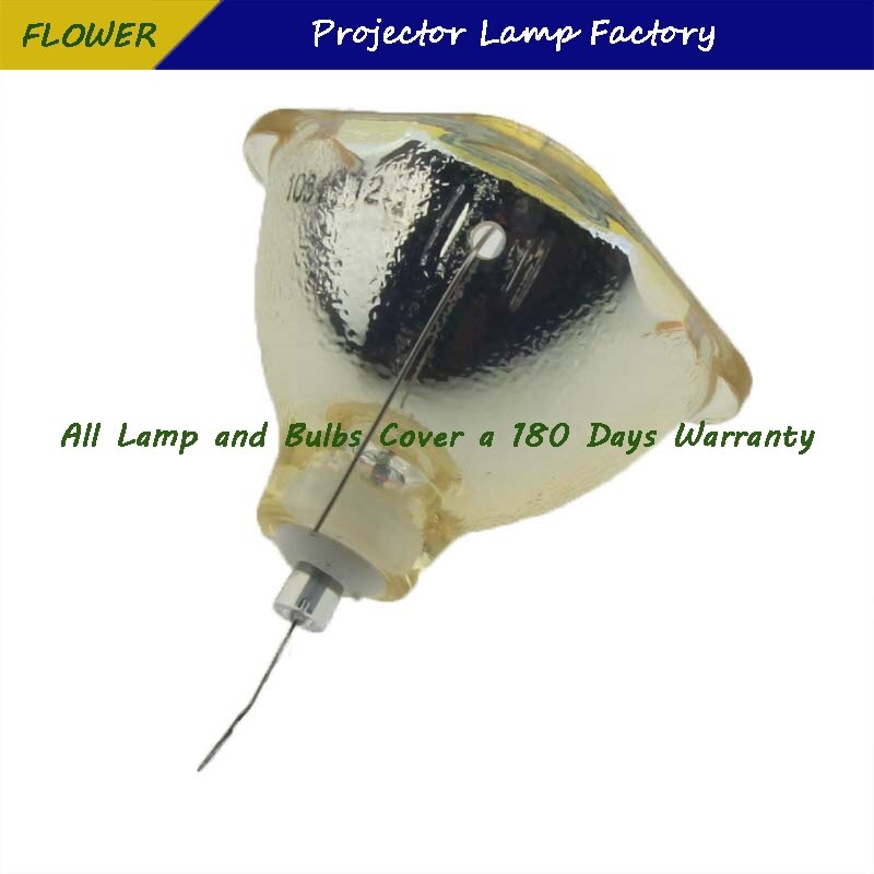 Dt00731 180 dages garanti projektor bare lampe til hitachi cp -s240/ cp -s245/ cp -x250/ cp -x255/ ed -s8240/ ed -x8250/ ed -x8255