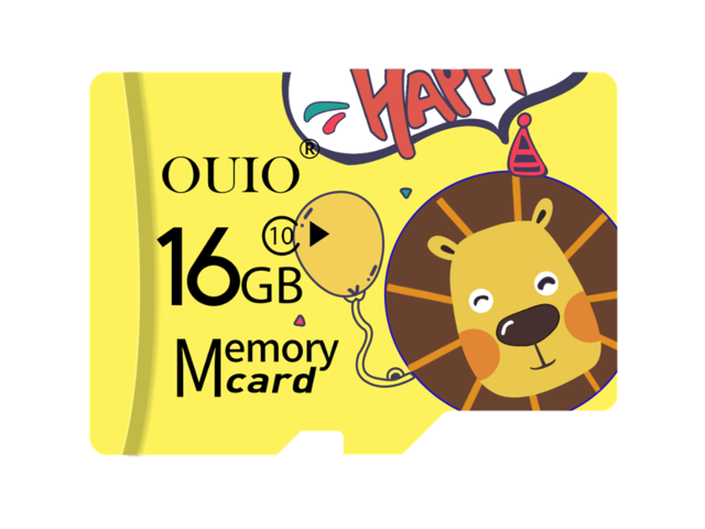 Nowy przyjazd karta pamięci 256GB 128GB 64GB 32GB 16GB wysokie obroty mikro karta sd Class10 karta TF karta pamięci Lampa błyskowa karta Microsd TF/SD: 16GB