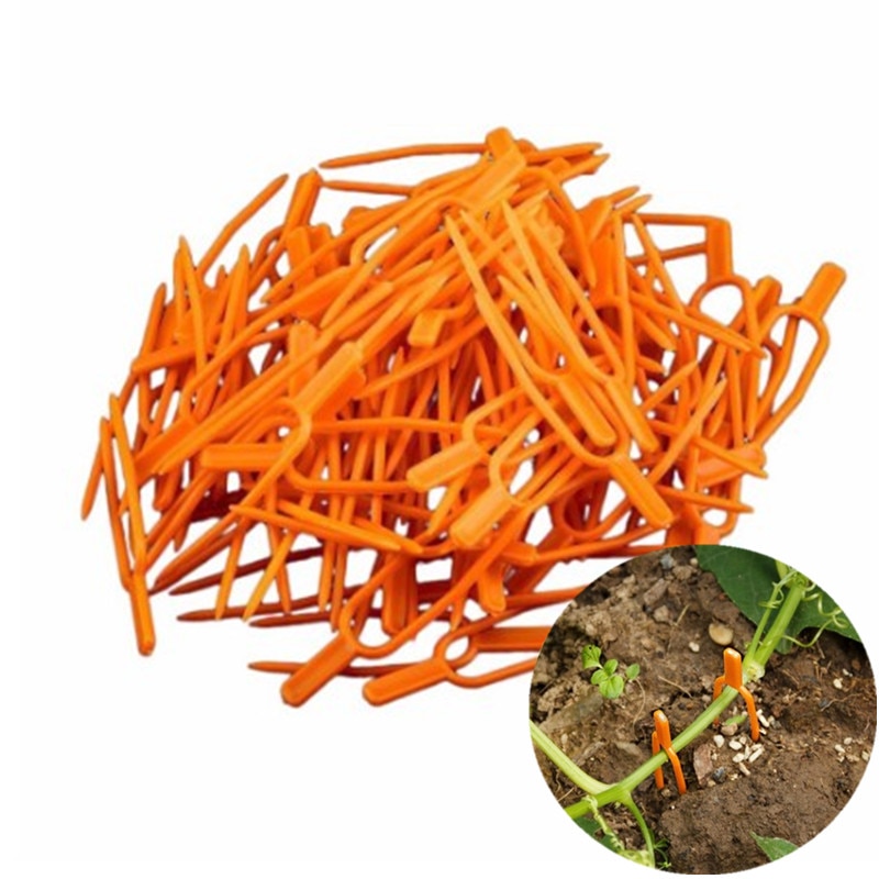 50Pcs Tuin Gereedschap Plastic Tuin Plant Clips Voor Latwerk Twine Kas Tool Tuin Planten Gebundeld Vines Groente Clips