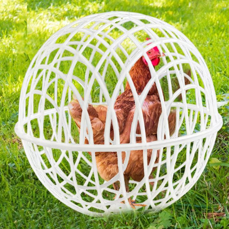 Ball Cage for Chickens 3 Pieces Pet Safety Cage Spherical Chicken Orb Ball Cage Ball-Shaped Chicken Hamster Ball Cage Pigeon