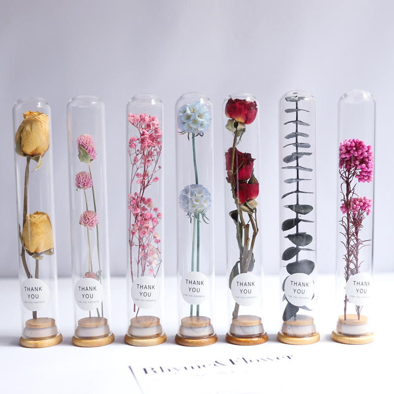 Dried Flower Glass Test Tube Decorations Family Living Room Study Specimens Ornaments