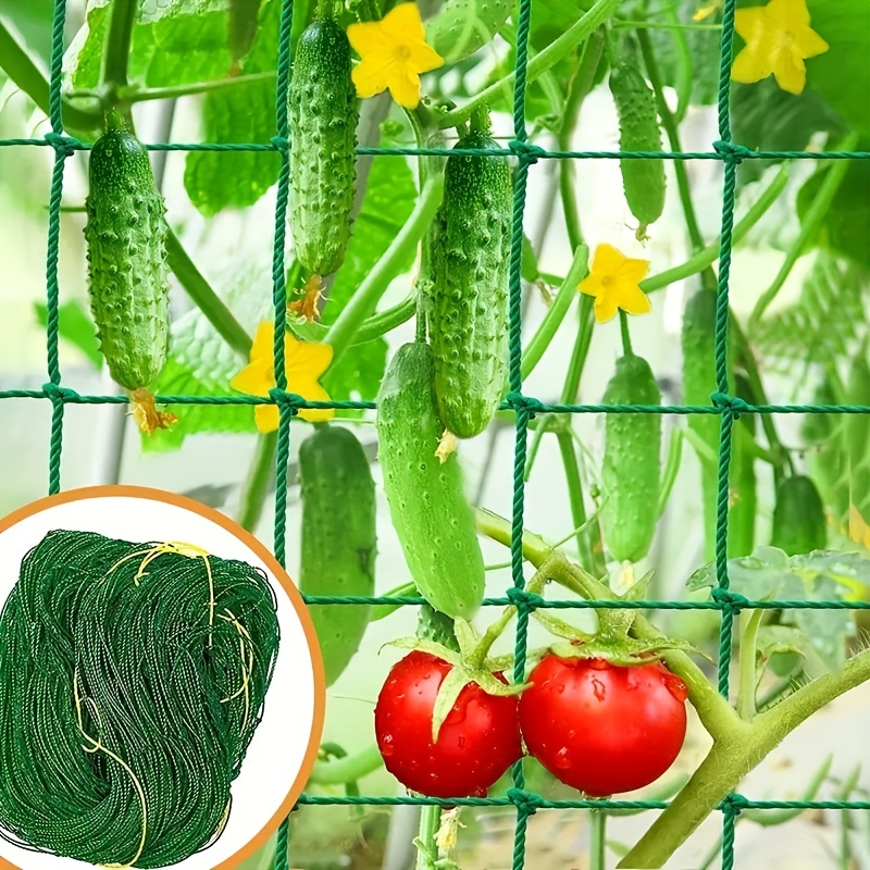 Pérgolas enrejadas para plantas, Red de cultivo de poliéster resistente, malla cuadrada para plantas trepadoras, 1 unidad