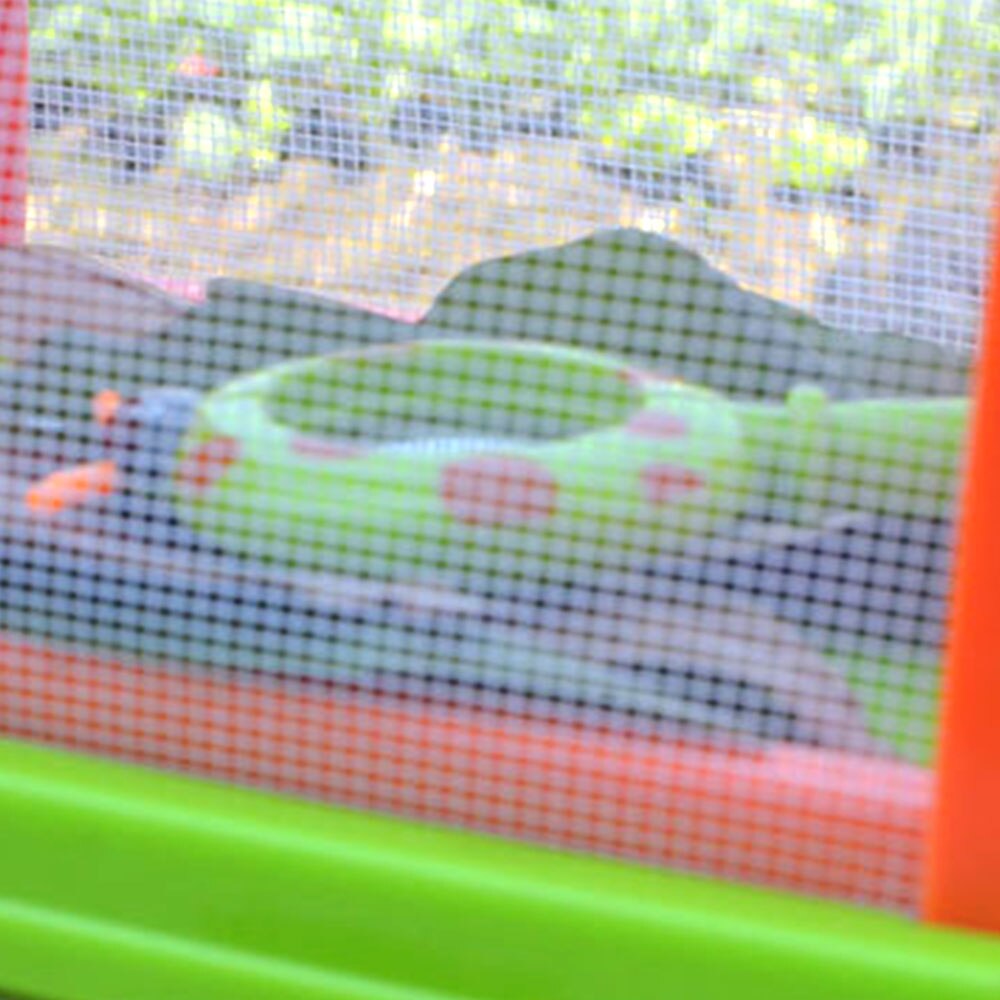 Cage à insectes pour animaux de compagnie, petit étui d'observation pour enfants, Cage d'expérimentation d'alimentation pour insectes, pour vers à soie