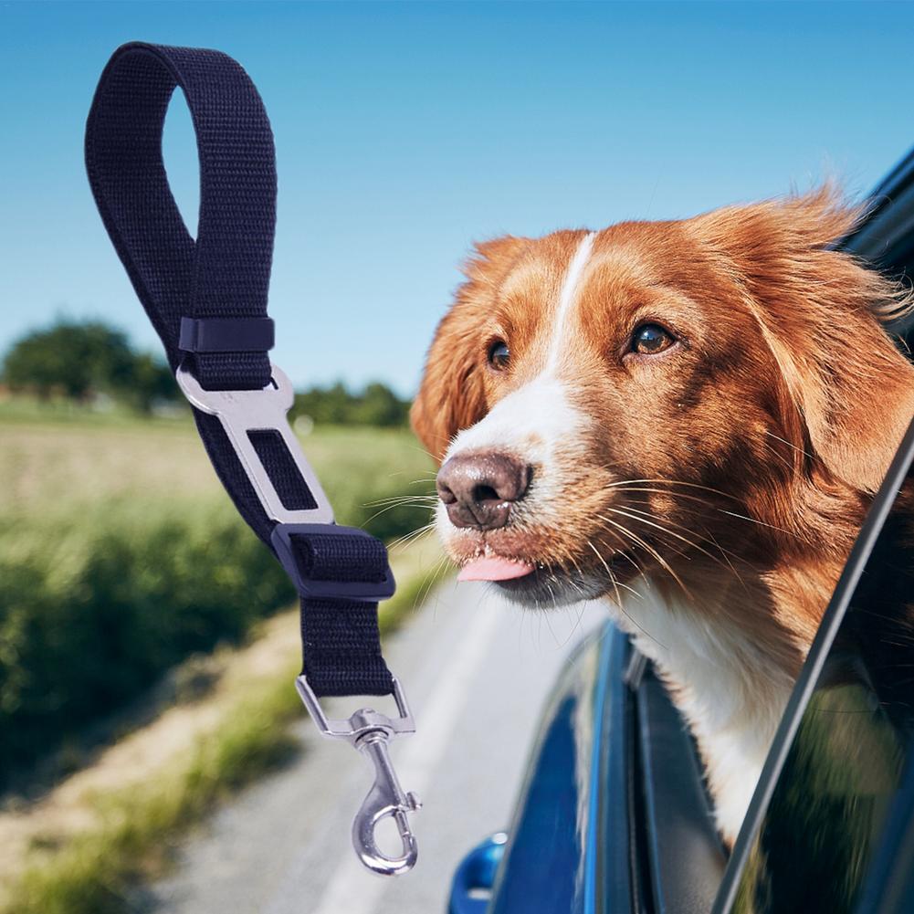Hond Veiligheid Touw Verstelbare Stof Huisdier Tractie Riem Huisdier Trekkabel Seat Belt Voor Honden Duurzaam Gespen