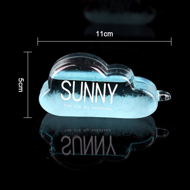 Stylish Desktop Weather Forecast Water Glass Bottle With Base Barometer Bottles Weather Station: L1