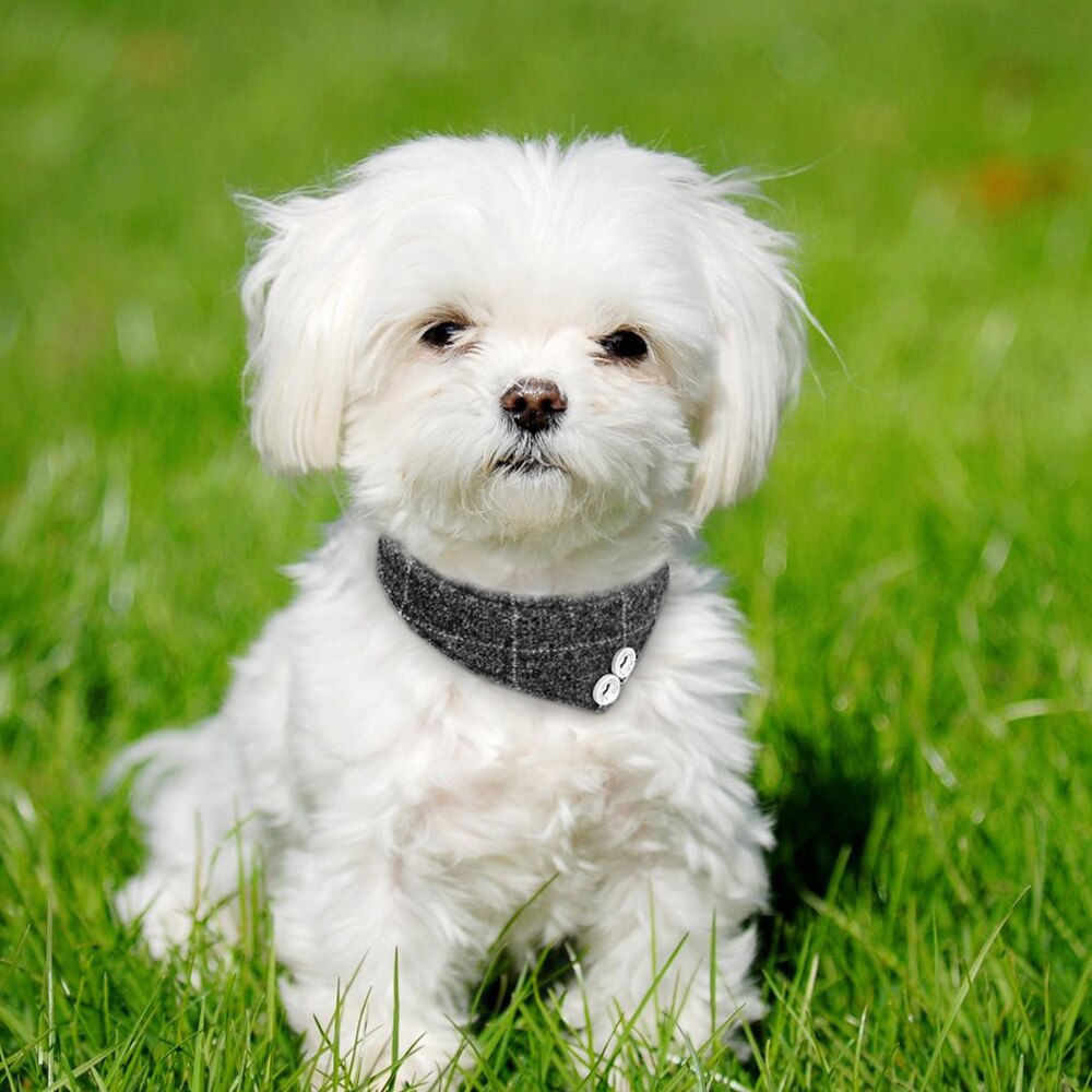 Bandana halsbånd til små mellemstore hunde chihuahua justerbart læder hvalpe kattehalsbånd plaid tørklæde halstørklæde hundetilbehør slips