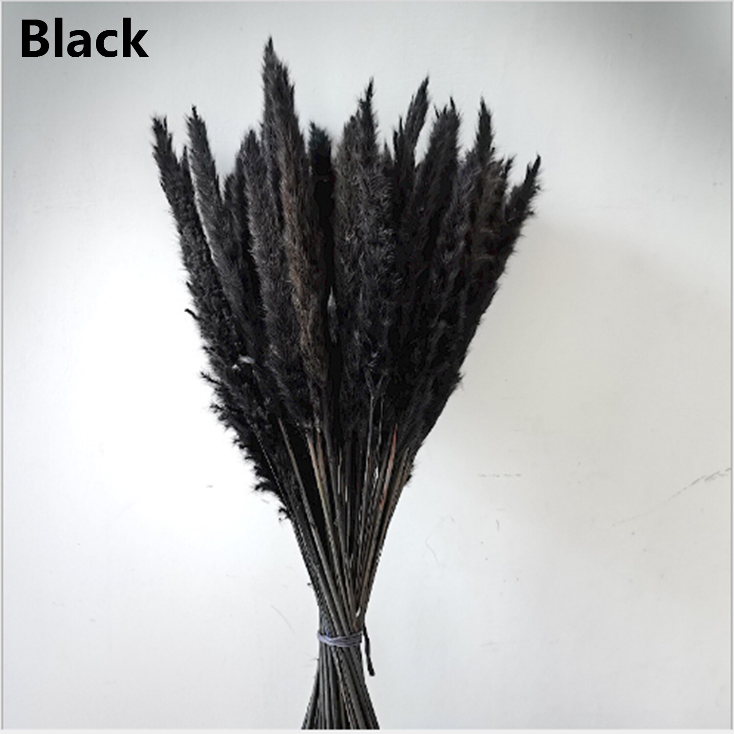 15/25 sztuk trzciny naturalne pszenicy kwiat bukiet suszone Pampas ślubny kwiat bukiet bukiety Bulrush dla Home Decor materiały ślubne: 15PCS-black