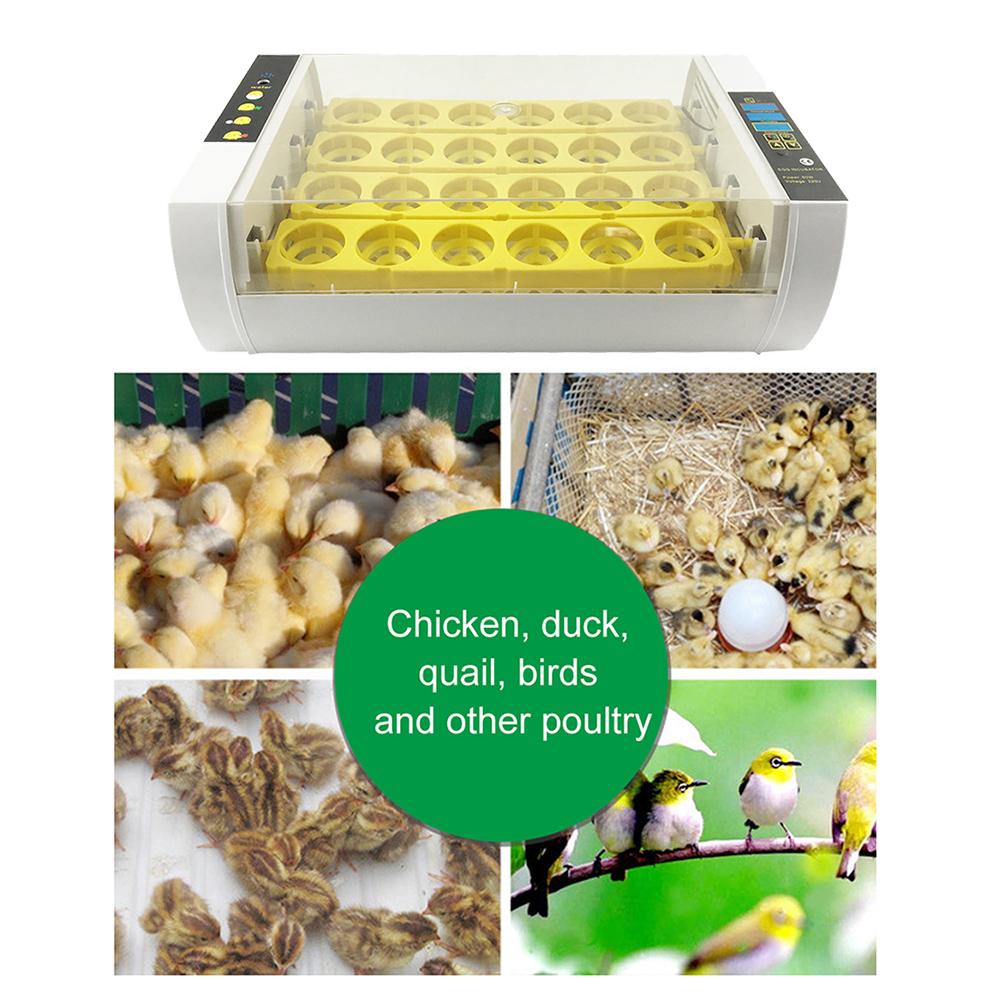 24PCS Egg Incubator Small Fully-automatic Incubators Automatically Control Temperature And Turn Over Eggs