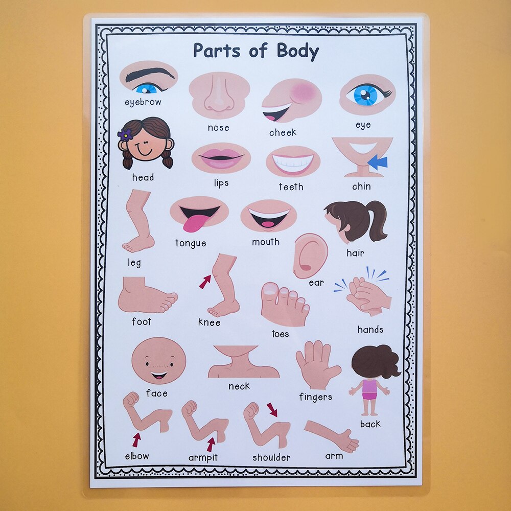 Engelse zelfintroductieposter engelse leshulpmiddelen klasdecoratie educatief speelgoed leerkaart speelgoed voor kinderen