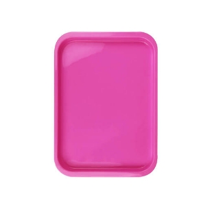 Bandeja de instrumentos de odontología esterilizable, paletas de plástico esterilizables en Autoclave, herramientas de dentista, bandejas planas, accesorios consumibles, 1 Uds.: 4