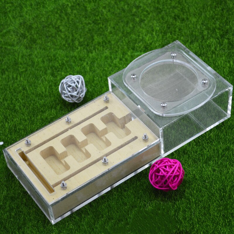 Diy With Feeding Area Ant Nest ,ant Farm Acryl, Insect Ant Nests Villa Pet Mania For House Ants: Ant Nest 1