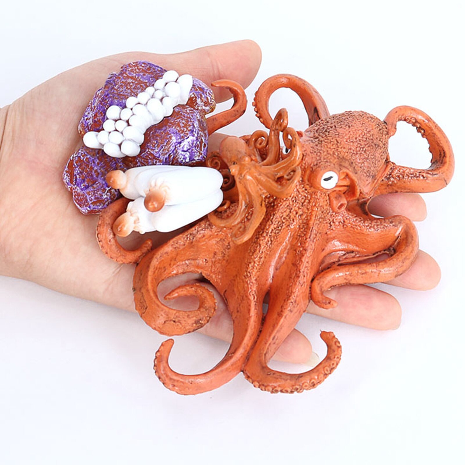 4 Stadia Levenscyclus Van Een Octopus, Insecten Plastic Octopus Speelgoed Figuur-Authentieke Hand Painted Model