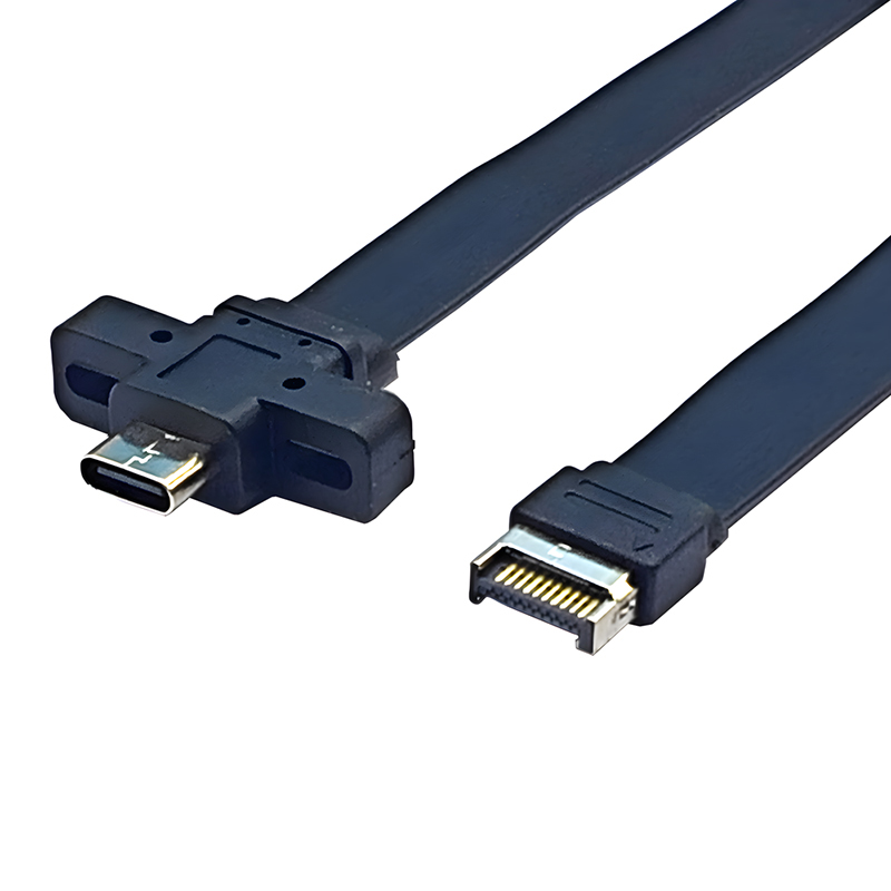 Cable de Panel frontal USB C de 30/50cm, conector adaptador tipo E a tipo C, Cable de extensión de soporte USB 3,2 GEN2 * 2 de 10/20Gb para PC de escritorio