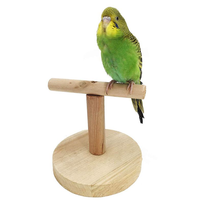 Fugl bordplade træ papegøje aborre stå træning træning fødder klo slibning