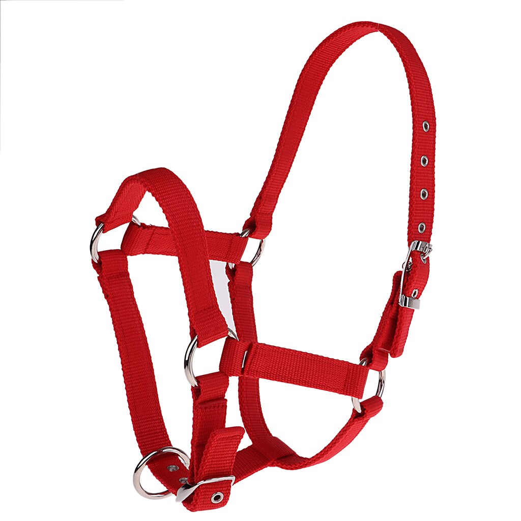 Adjustable Webbing Equestrian Horse Halter Horse Riding Wear Equipment: Red S