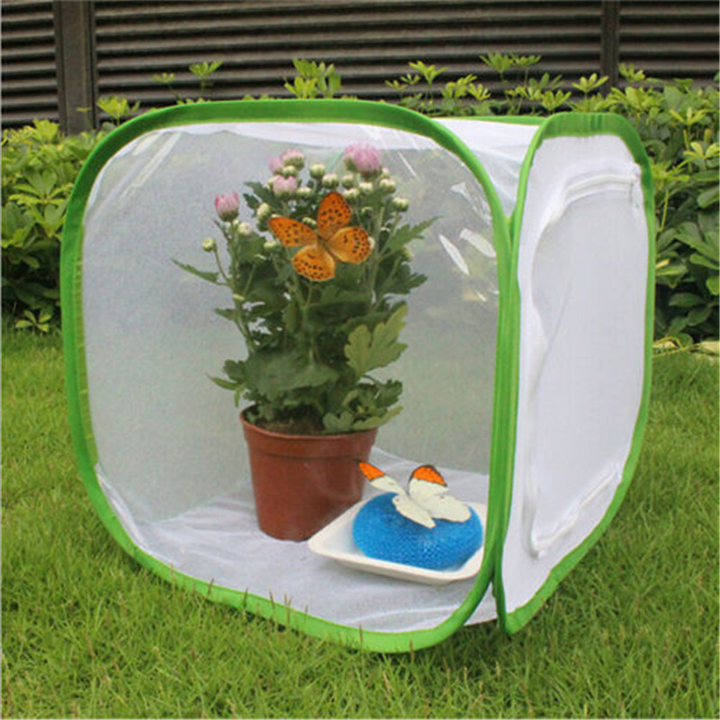 1 Pièces Mante religieuse Bâton Vert Portable Pliable D'insecte Caméléon Cage Boîtier Insectes Fournitures Boîtes à Mailles