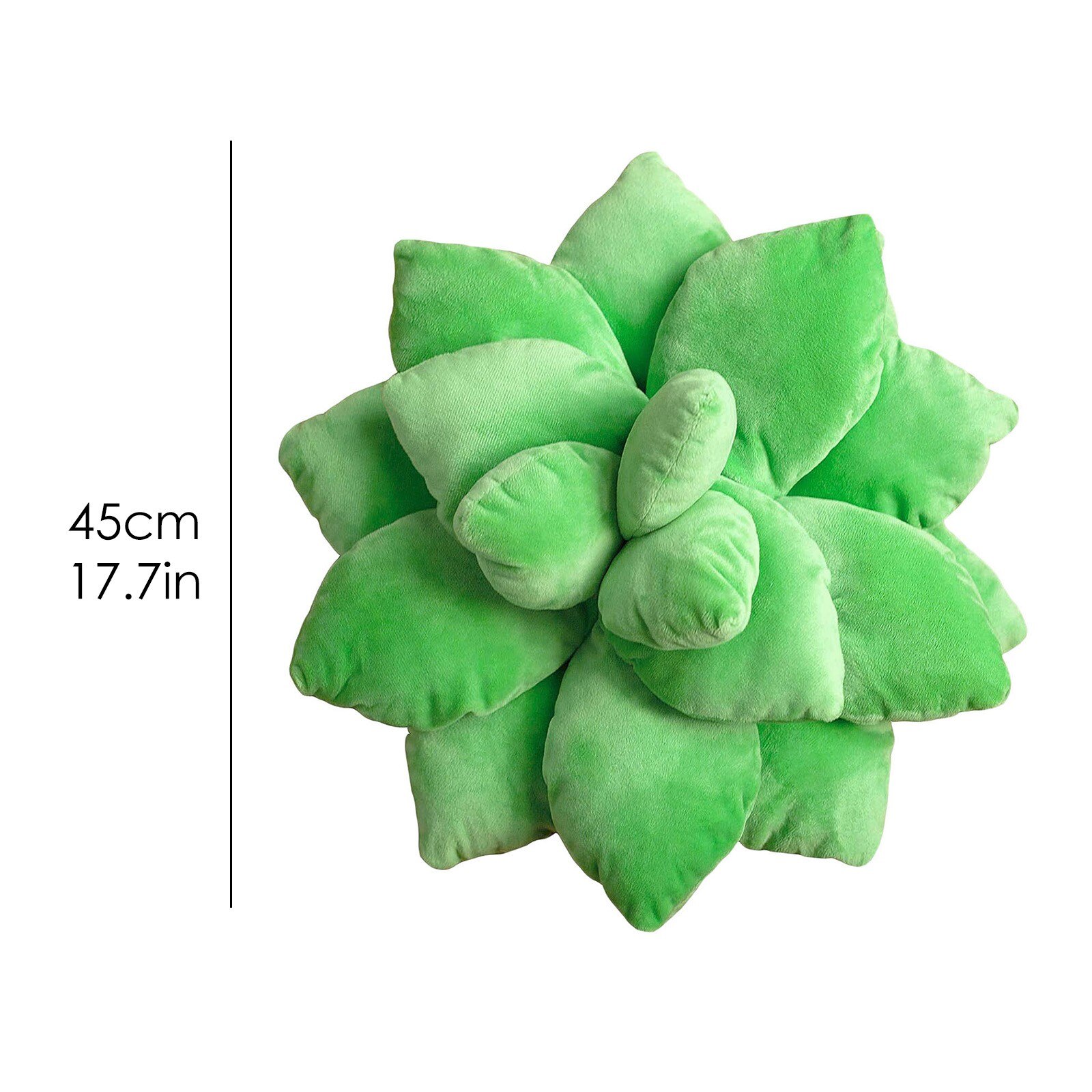 Succulent Cactus Kussen Decor Tuin Groen Liefhebbers Leuke Vetplanten Jongen Meisje Kamer Slaapkamer Decor Woonaccessoires