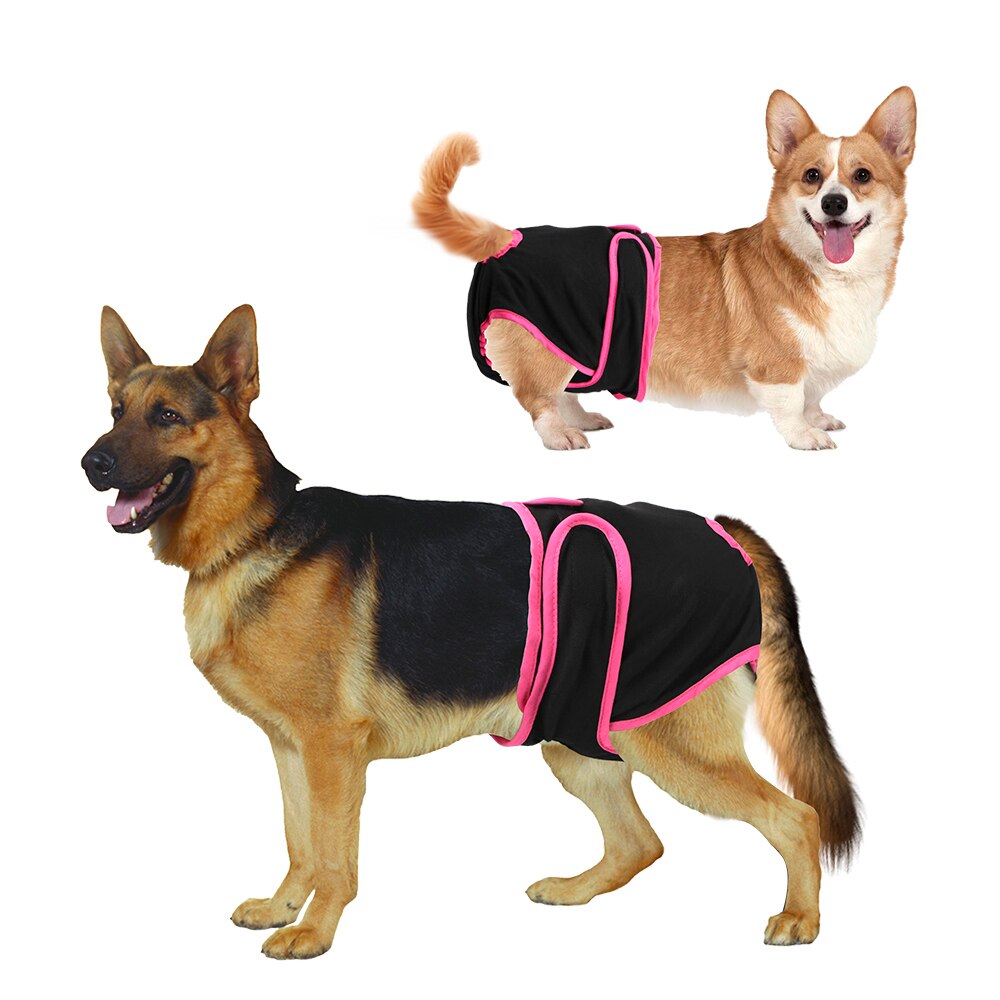 Couche pour chiot de petite taille moyenne, culotte pour chien féminin, sous-vêtements pour animaux de compagnie, fournitures physiologiques, pantalons