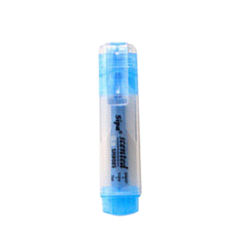 Bijbel Studie Markeerstift Bijbel Journaling Levert Bijbel Markers Marker Pen: blue