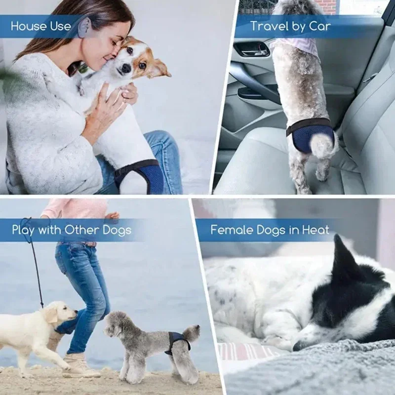 Cuecas menstruais laváveis fisiológicas para animais de estimação, cuecas higiênicas à prova de vazamento para cães pequenos e grandes, roupa íntima sanitária para animais de estimação