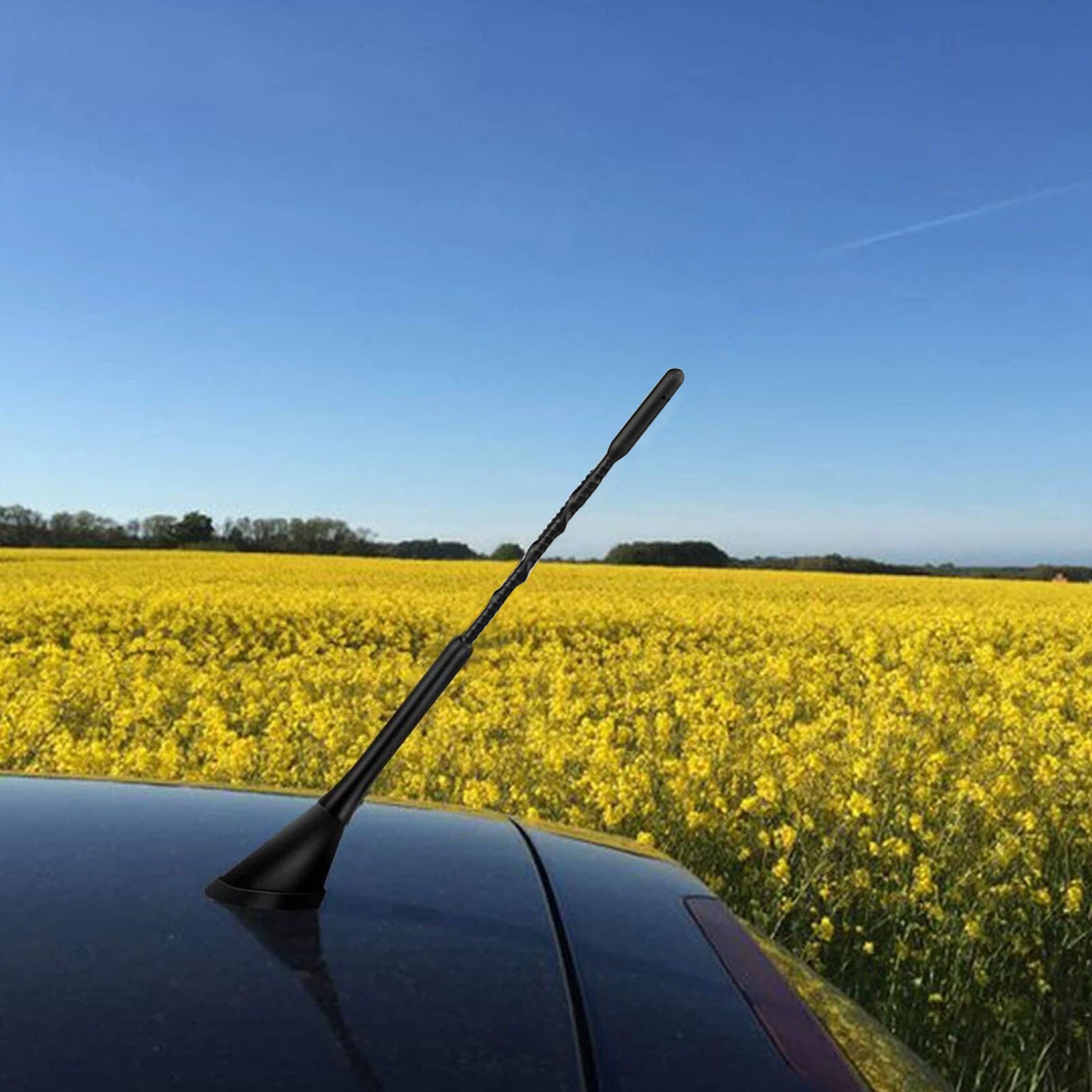 58X45X270Mm Top Dak Mount Digitale Dab Antenne Met Versterker Voor Dab Am/Fm Auto radio Antenne Antenne Smb Connector