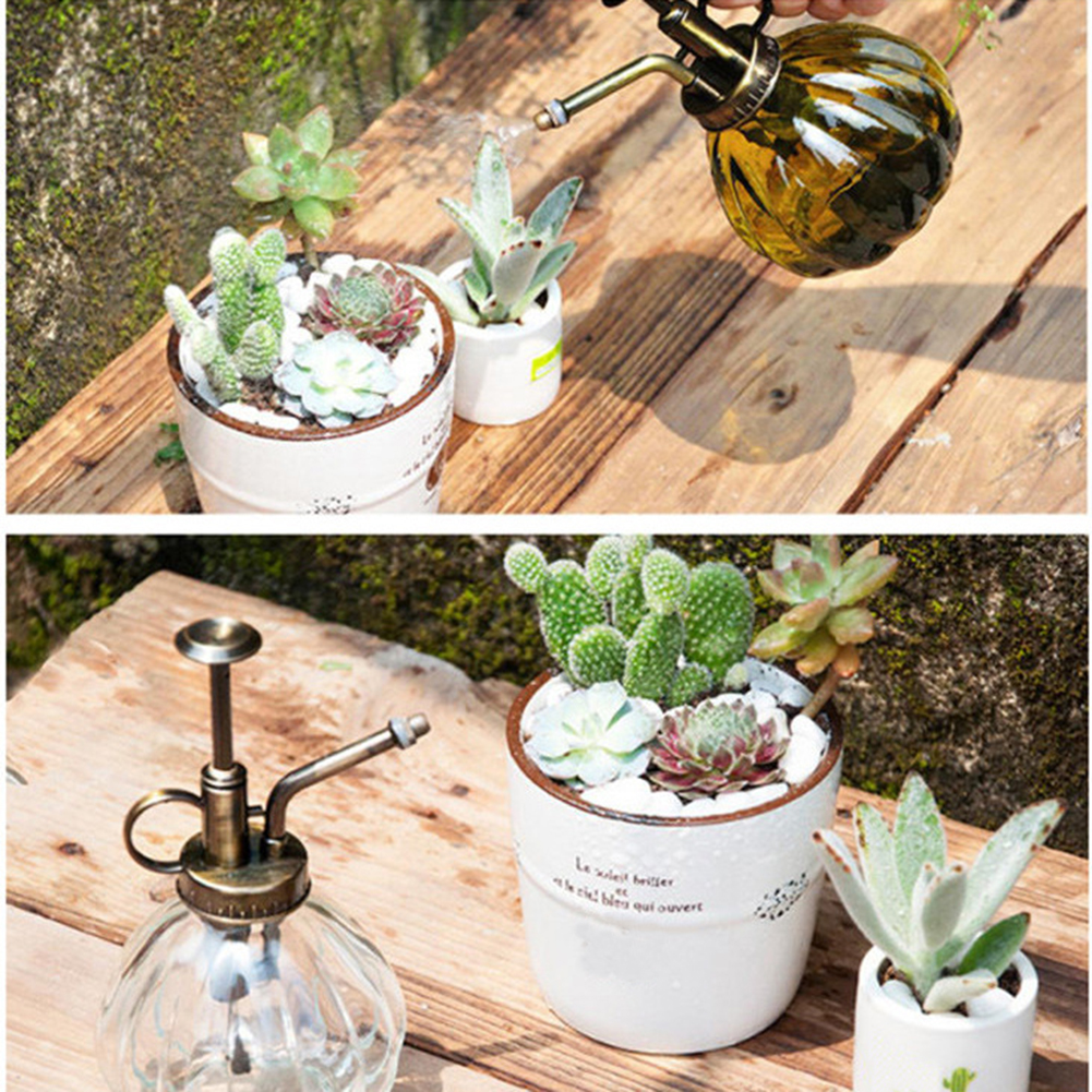 Vintage pompoenvormige glazen spuitfles, gieter voor bloemen, tuin, vetplanten, spuitfles, tuinieren, plantbenodigdheden