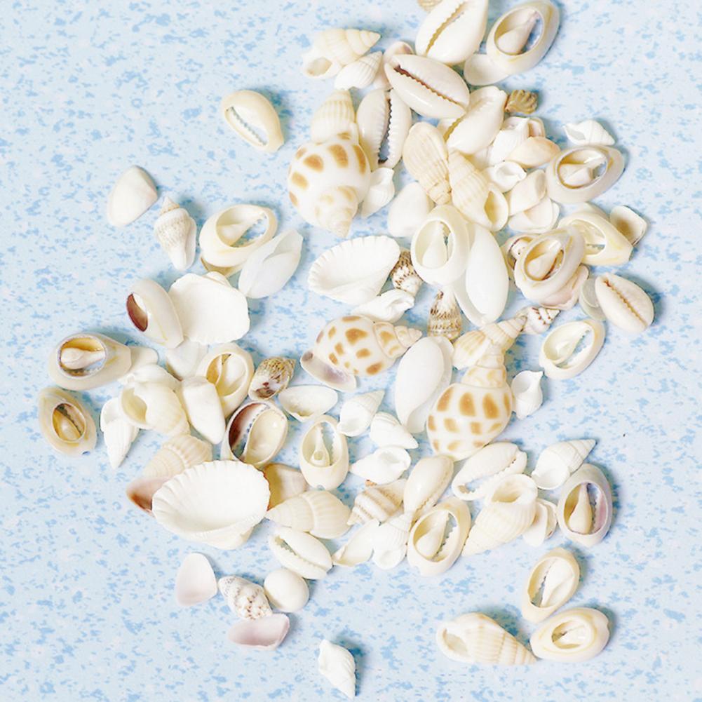 1 Bag Artifical Sea Shell Conch Coquillage Beach Decor Craft DIY Marine Style Fish Tank Seashells Cream Glue Epoxy Accessories