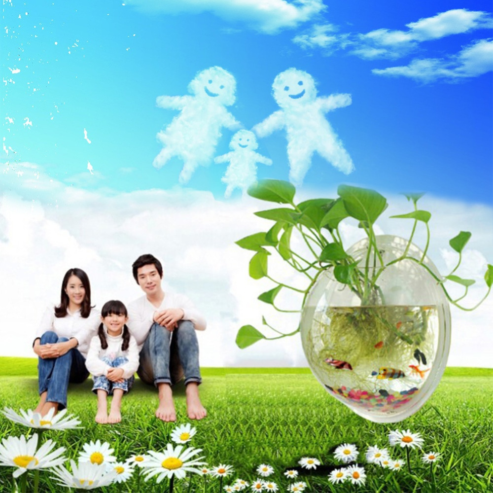 Acrylic Fish Bowl Wall Hanging Aquarium Tank Aquatic Pet Supplies Pets Product Wall Mount Pot Plant Vase Mounted Home Decoration