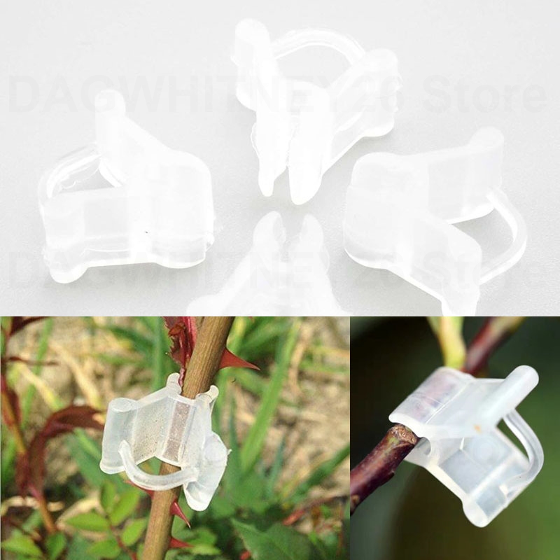 50 teile/beutel Kunststoff Garten Pfropf clips transparente Gemüse blumen pflanzen Pfropfen Garten Ornamente Werkzeuge Rebe Pflanze u26
