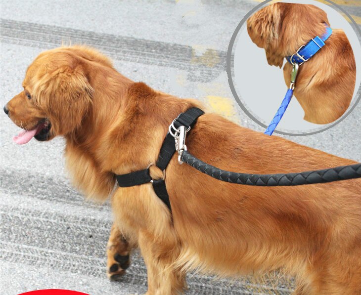 Halsbanden trekkabel jean hondenriem harnas huisdier kraag harness hondenriem pet wandelen harness leash set verstelbare borst