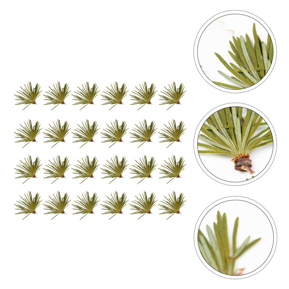 24Pcs Mooie Natuurlijke Groene Plant Sample Dennennaalden Bladeren Diy Ambachten Handgemaakte Accessoires Voor Hetel Telefoon Case Home