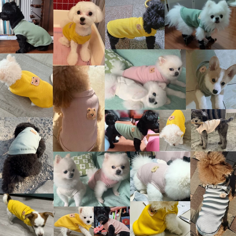 Haustier Kleidung Frühling Sommer Hund T-Shirt Atmungsaktives Waffel Weste Chihuahua Französische Bulldogge Welpe Kätzchen
