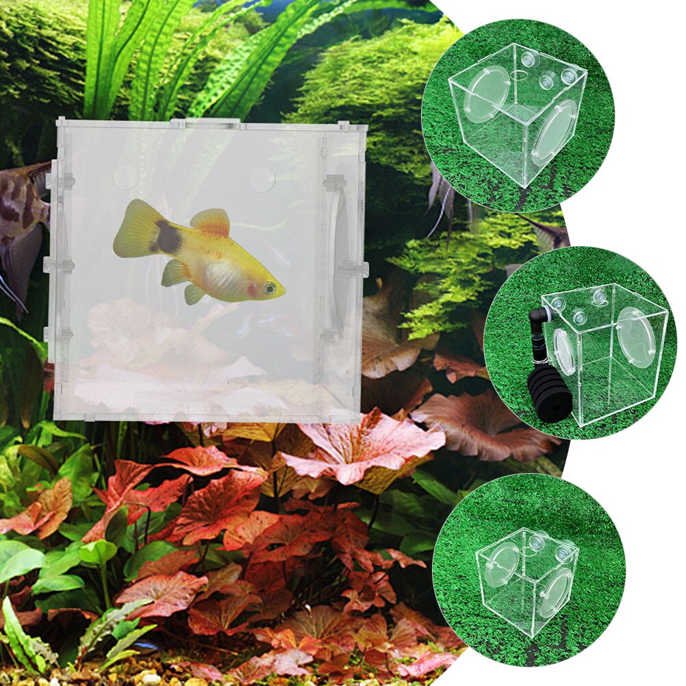 Acrylic Fish Breed Box Fish Egg Breeding Case Fish Isolation Case Aquarium Incubator