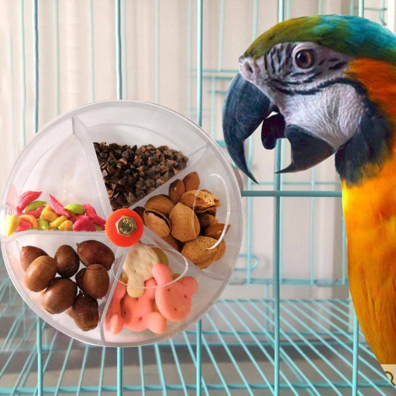 Papegøje foderindretning fugl legetøj hjul form drejelig puslespil fodring madkasse
