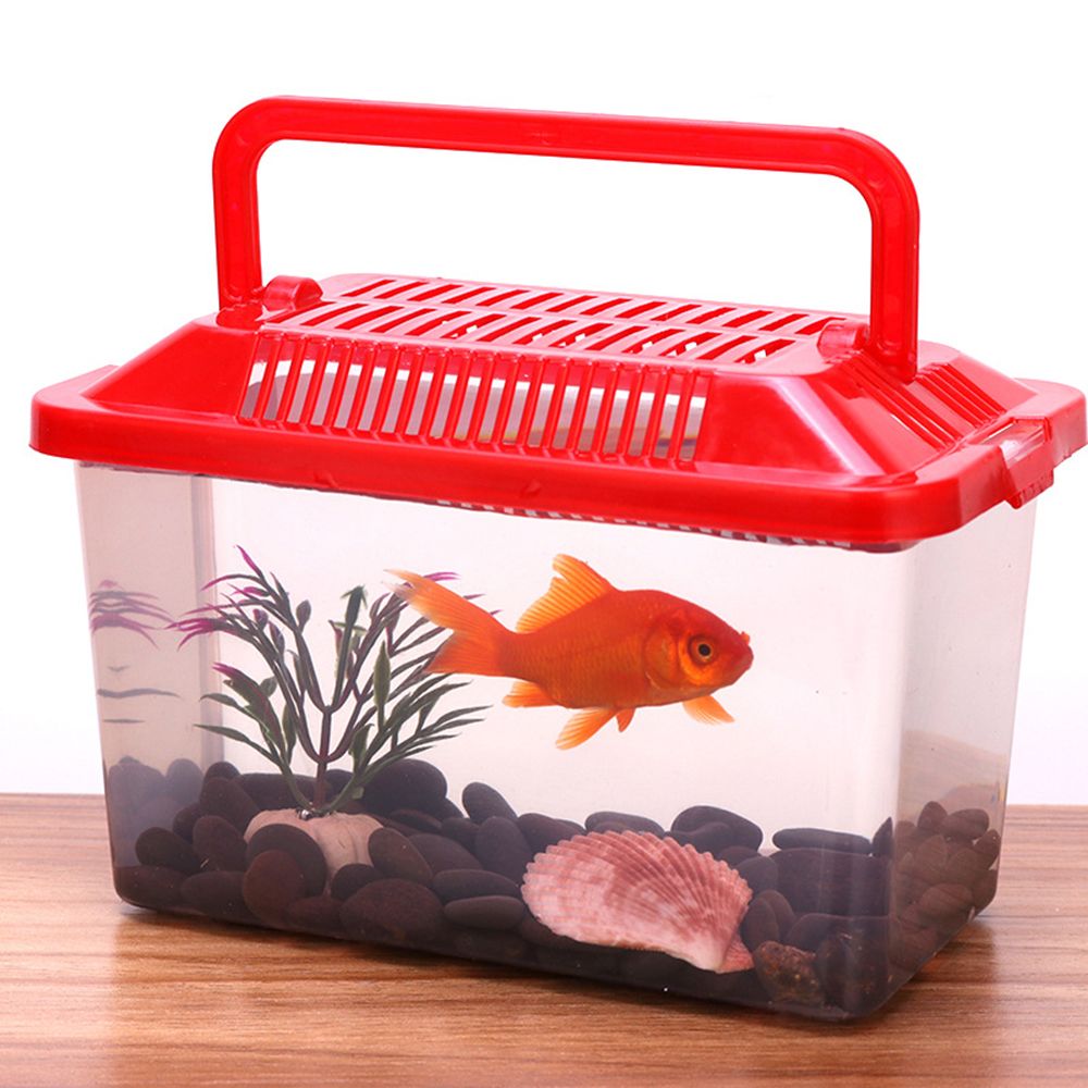 Acuario de alimentación transparente portátil, productos para mascotas, tanque de peces dorados, caja para hámster