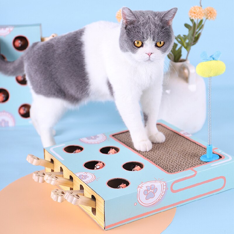 3 In 1 Cat Scraper Board Pet Interactive Fun Toys Cat Nail Scraper Scratching Pad Corrugated Pet Training Toys Supplies For Cats