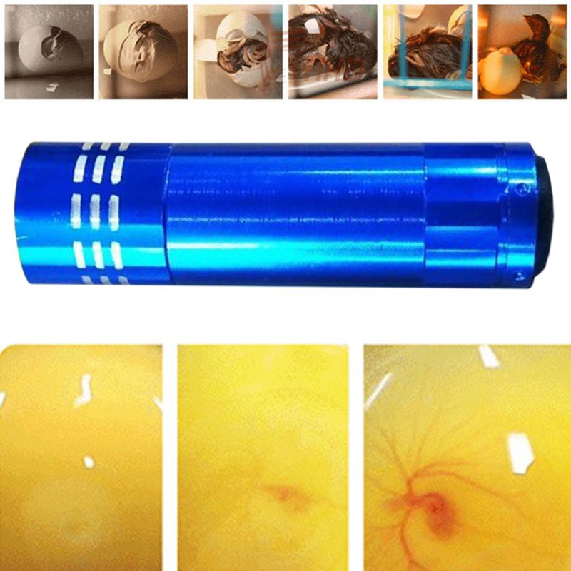 Mini Cold Light Egg Incubator Intelligent Precise Temperature Control Automatic Hatcher Long Standby Safe Portable Tools