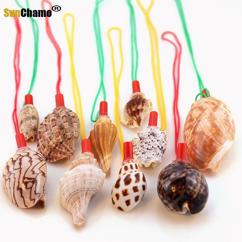 Sunchamo – sifflet de conque naturel, petite coquille de corne caractéristique, jouet artisanal, ornement Micro-paysage, décoration artisanale