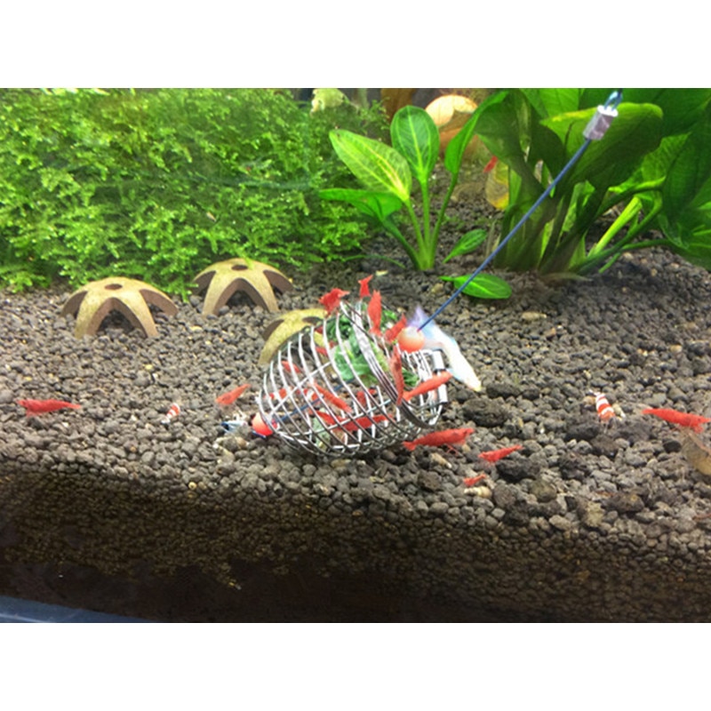 Stainless Steel Shrimp Aquarium Food Bottom Feeder Cage Dry Food Feeding Basket Fish Tank Shrimp Floating Feeder