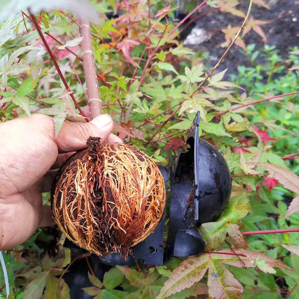 1/3/5/Pcs Plant Rooting Ball Root Grafting Growing Box Breeding Case Plant Root Device Layer Pod High Pressure Ball for Garden