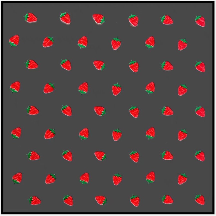 5 vellen bloem inpakpapier Koreaanse stijl aardbei cadeau roos verpakking bloemist boeket inpakmateriaal: Light Grey