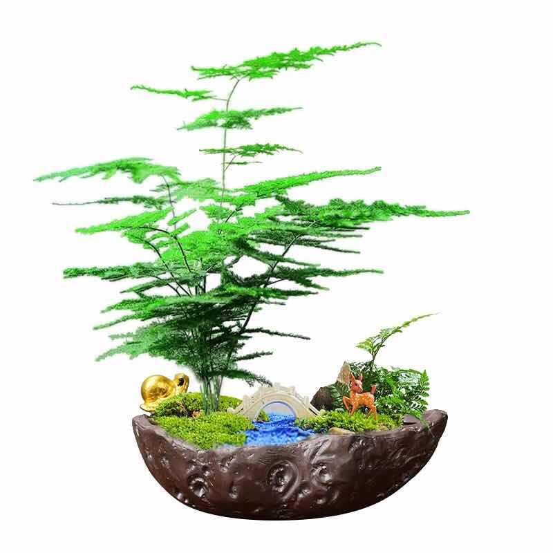 Desktop flower pot landscaping micro landscape bonsai pot ceramic painting gold black pottery pot bamboo planting pot