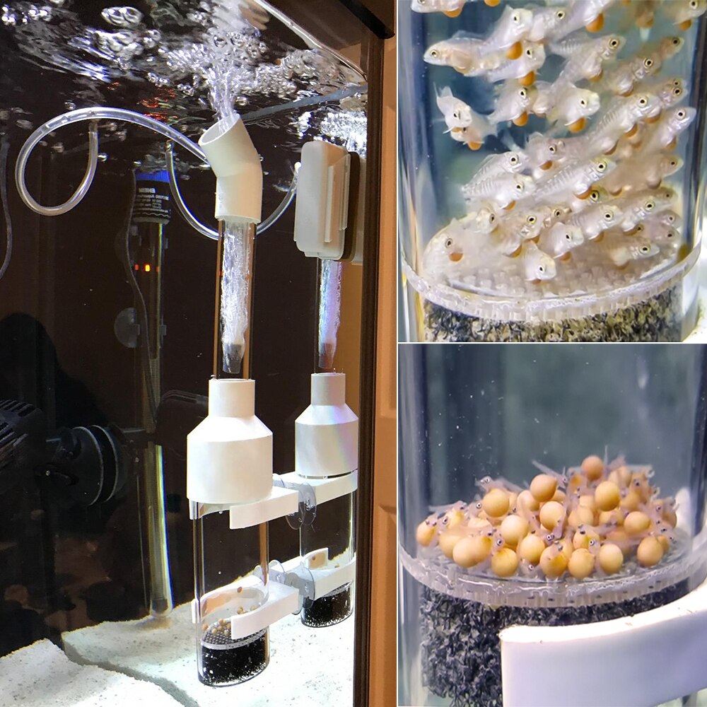 Senzeal Aquarium Fish Tank Accessories Fish Shrimp Cichlids Egg Incubator Tumbler Fish Turtle Hatchery Mouth-Brooding 40mm