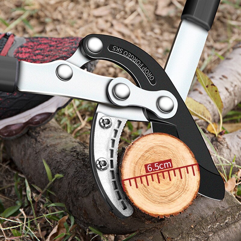 DTBD Garden Tree Pruning Shears High Branch Pruning Tool Ratchet Secateur Long Telescopic Handle Fruit Picker Pruner Scissors