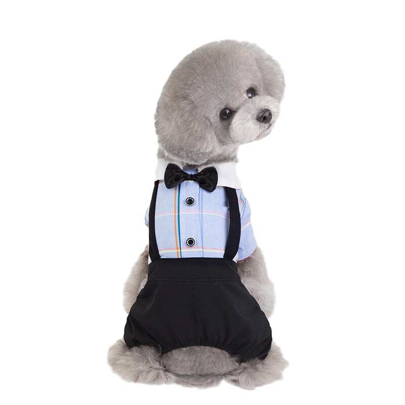 Tassband söt hund jumpsuit kostym husdjur student uniform liten hund kläder mjuk valp kjol hund klänning husdjur kläder för hund ropa perro: Blå jumpsuit / S