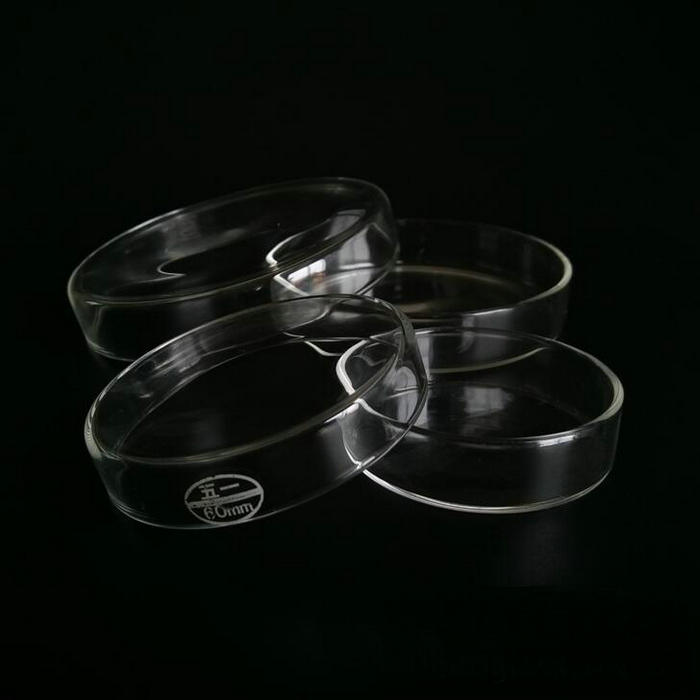 2 Stks/pak Glazen Petrischaal 90/100/120/150mm Lab Mobiele Cultuur Schepen voor Microbiële Teelt