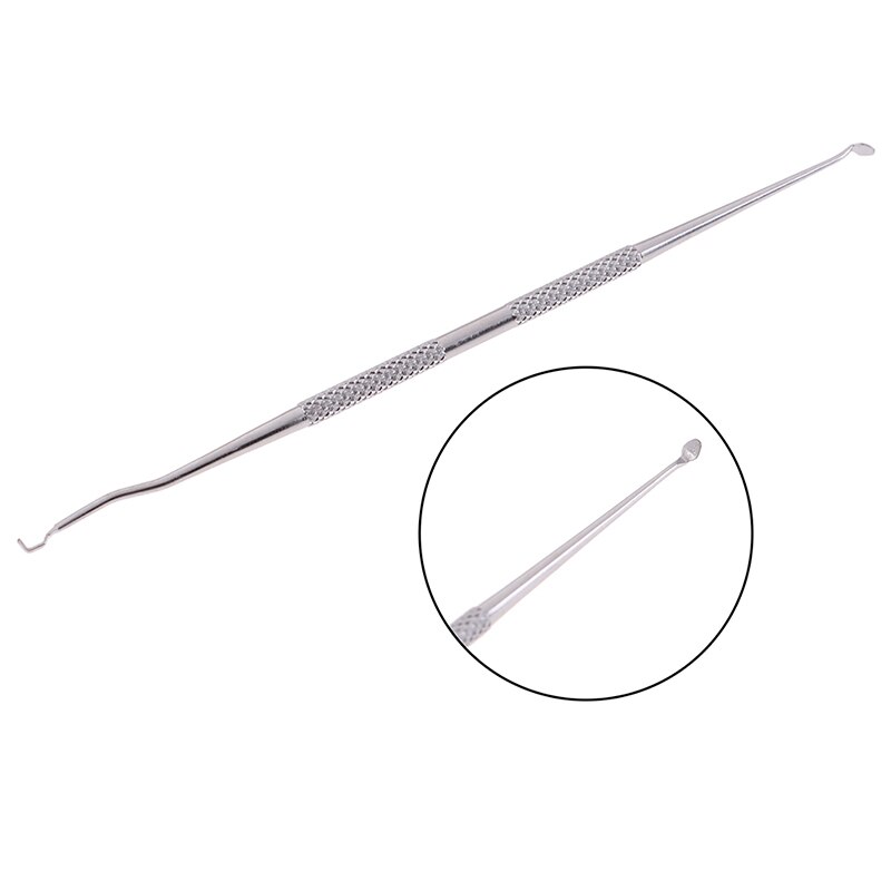 10 PCS Aiguille De Transfert D'insectes Outils D'élevage D