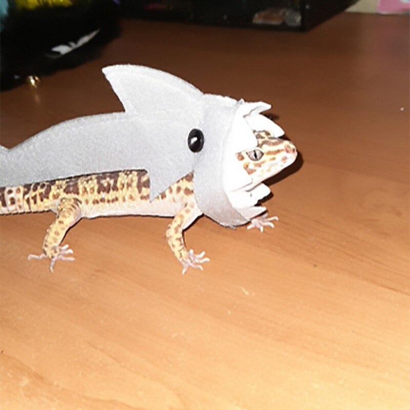 Gecko – Costume de lézard, vêtements pour petits animaux de compagnie