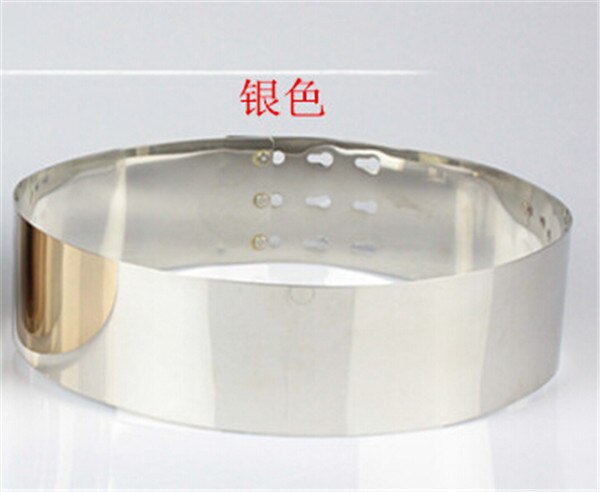 1 pieza/lote, cinturón de 7cm de Metal con espejo metálico, cinturones de vestido para mujer, cinturones de , cinturones Punk, dorado y plateado: Silver